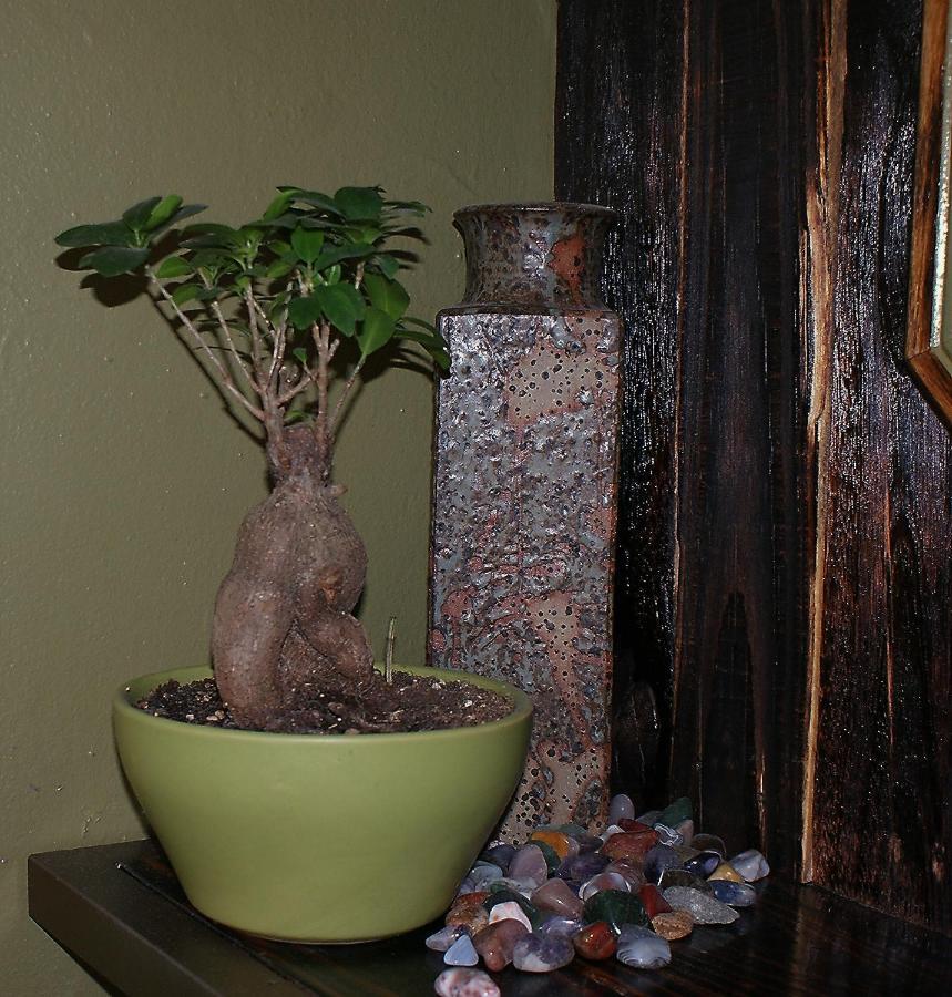 Ashtree Guesthouse Хановер Екстериор снимка